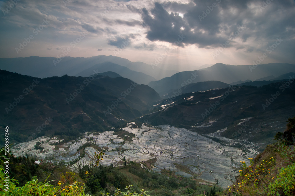 Obraz premium Rice terrace with evening sun ray