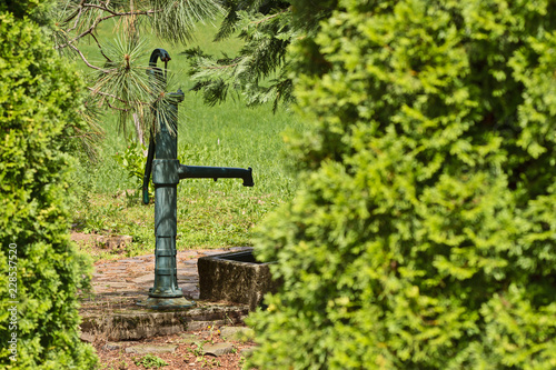 Obraz w ramie water well in the park between the trees
