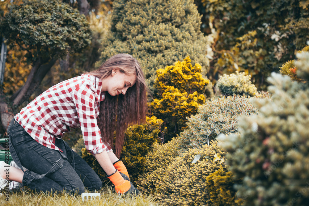 Happy smiling gardener woman with gloves working in garden Happy smiling gardener woman with gloves working in garden