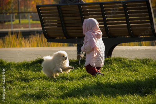 Dog runs after girl in the Park