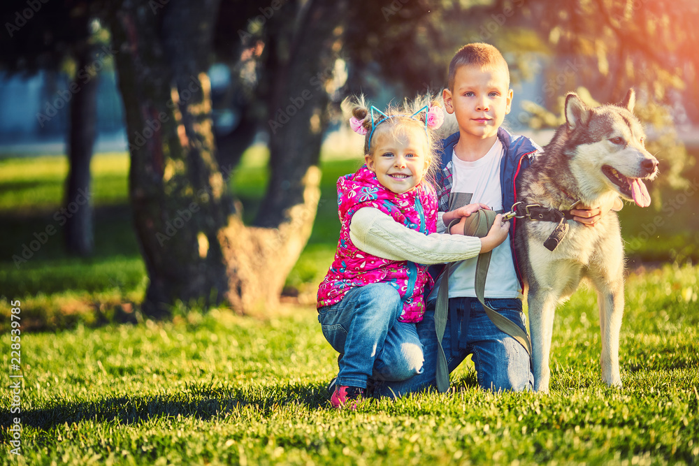 Obraz premium child and dog together in autumn park