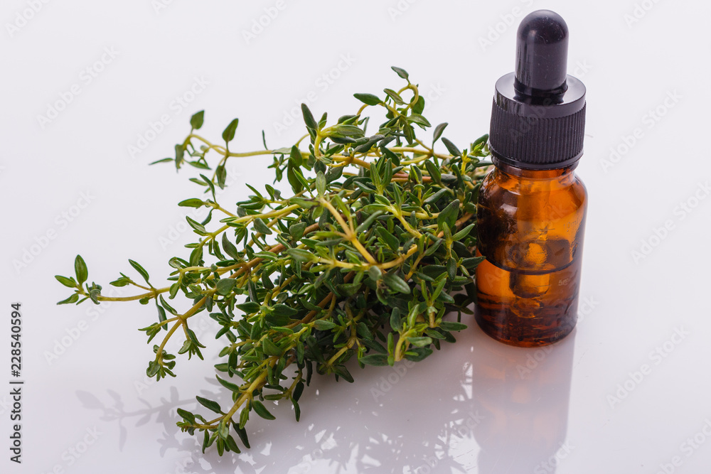 essential oil of thyme on a white background essential oil of thyme on a white background