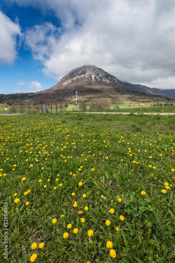View over meadow with flowers to mountain Nanos, Slovenia