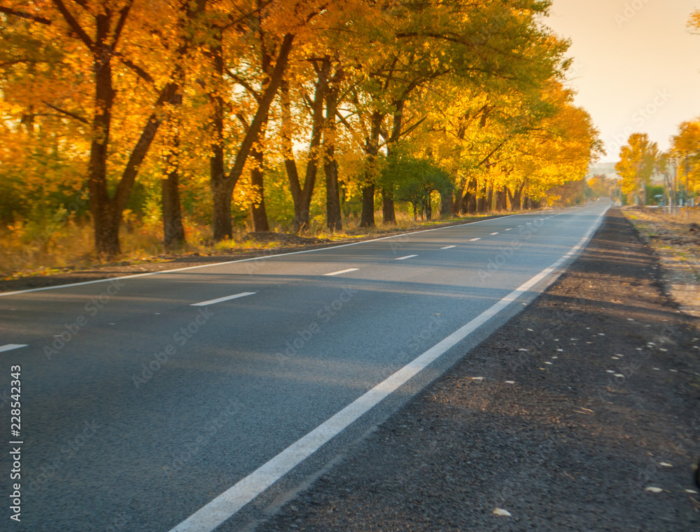 road in autumn day road in autumn day