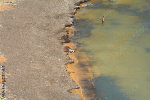 A man and his dog sharing an empty beach in the island of Malta