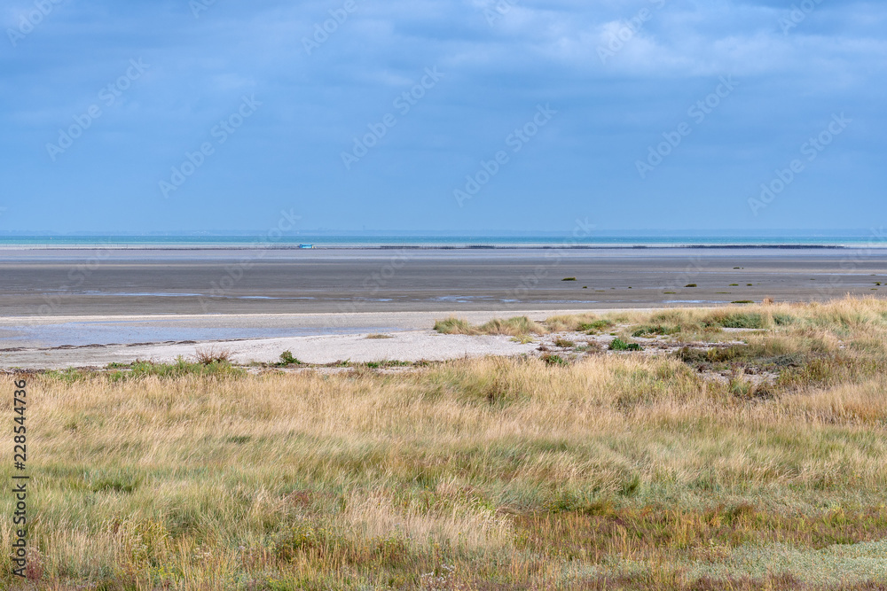French landscape - Bretagne. A beautiful beach with grass in the foreground.