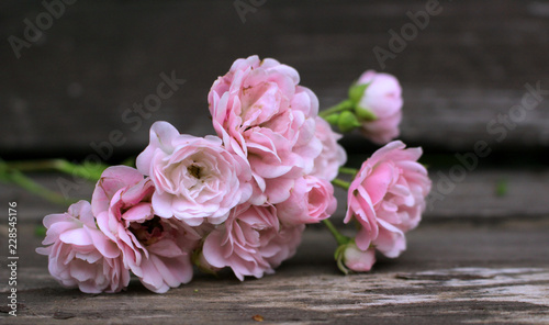 Styled stock photo. Spring feminine scene, floral composition. Decorative banner made of beautiful pink roses flowers on a wooden table .Blurred background. Concept spring flowers. © avoferten