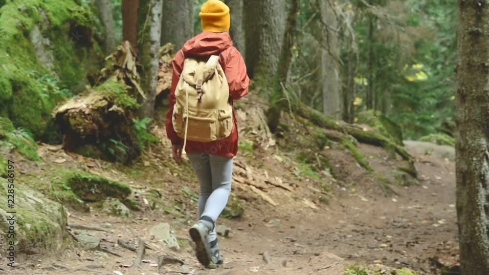 Slender girl goes down the path in the coniferous forest. Tourism in the Caucasus Reserve. Will approach the camera Slender girl goes down the path in the coniferous forest. Tourism in the Caucasus Reserve. Will approach the camera