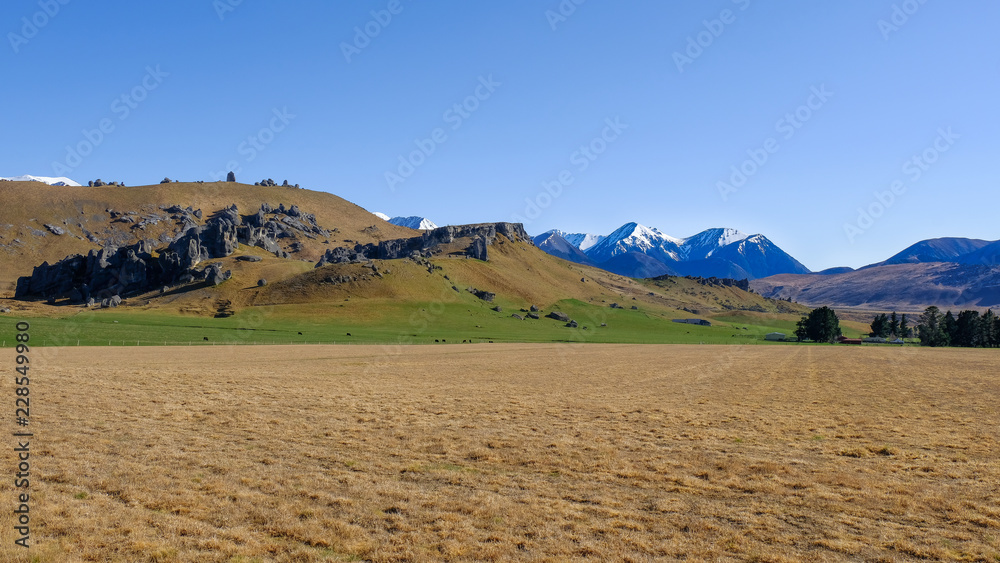 Campo verde com montanha de neve no fundo Campo verde com montanha de neve no fundo