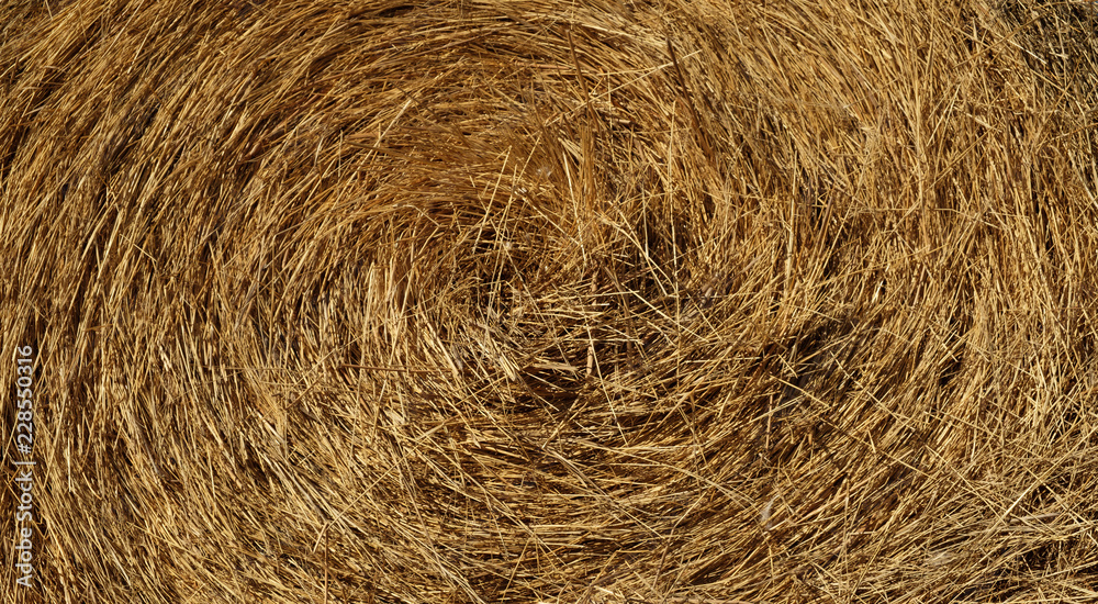 straw, dry straw, hay straw yellow background, hay straw texture straw, dry straw, hay straw yellow background, hay straw texture