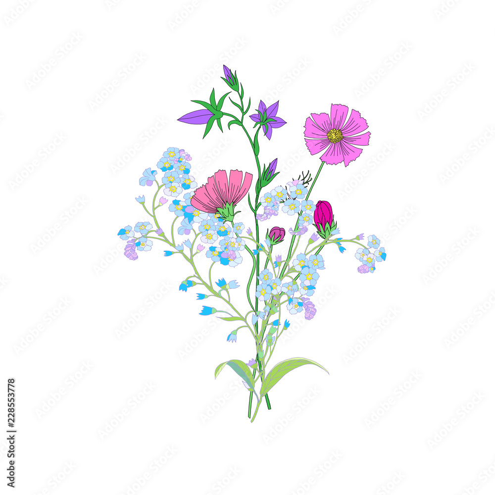 Cute Wild Flowers Bouquet Isolated on White Background for Greeting Cards, Wedding Invitations, Illustrations, Web, Textile Designs. Vector Bouquet of Cosmos Flowers, Bellflowers and Forget mt not