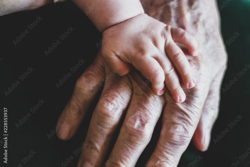 Fototapeta premium baby hand on old hand