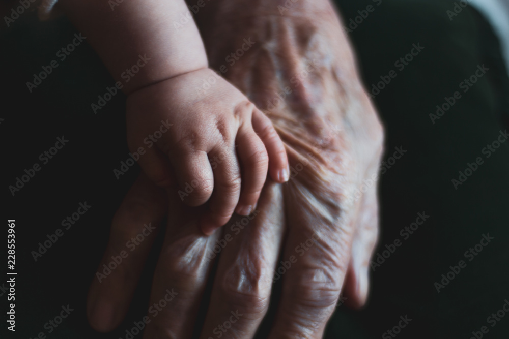 Fototapeta premium baby hand on old hand