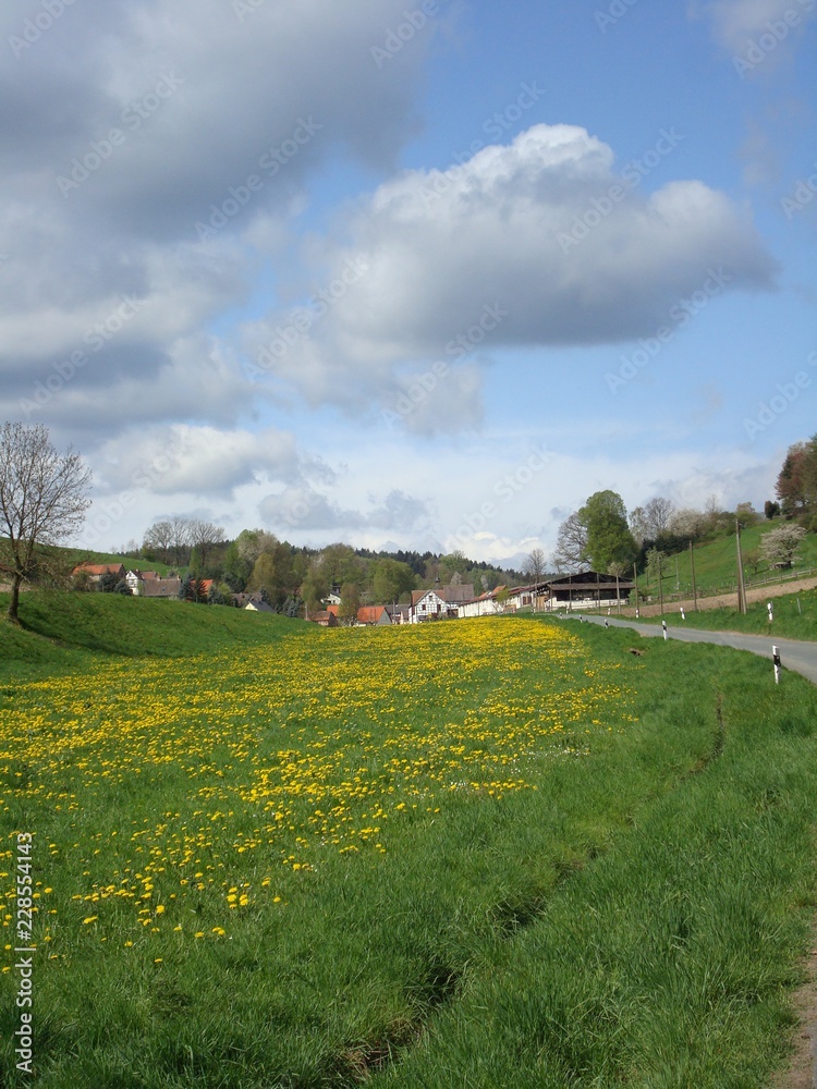 Obraz premium Wiese mit Dorf