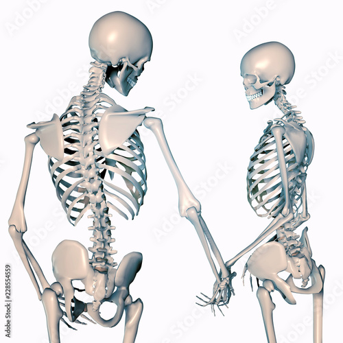 3d illustration of romantic skeleton couples