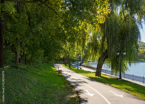 Fototapeta Naklejka Na Ścianę i Meble -  Bike path in a green Park by the lake.