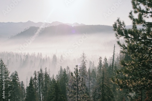 fog in the mountains