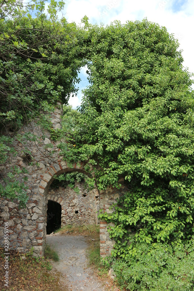 Arch entrance to the castle is overgrown with plants