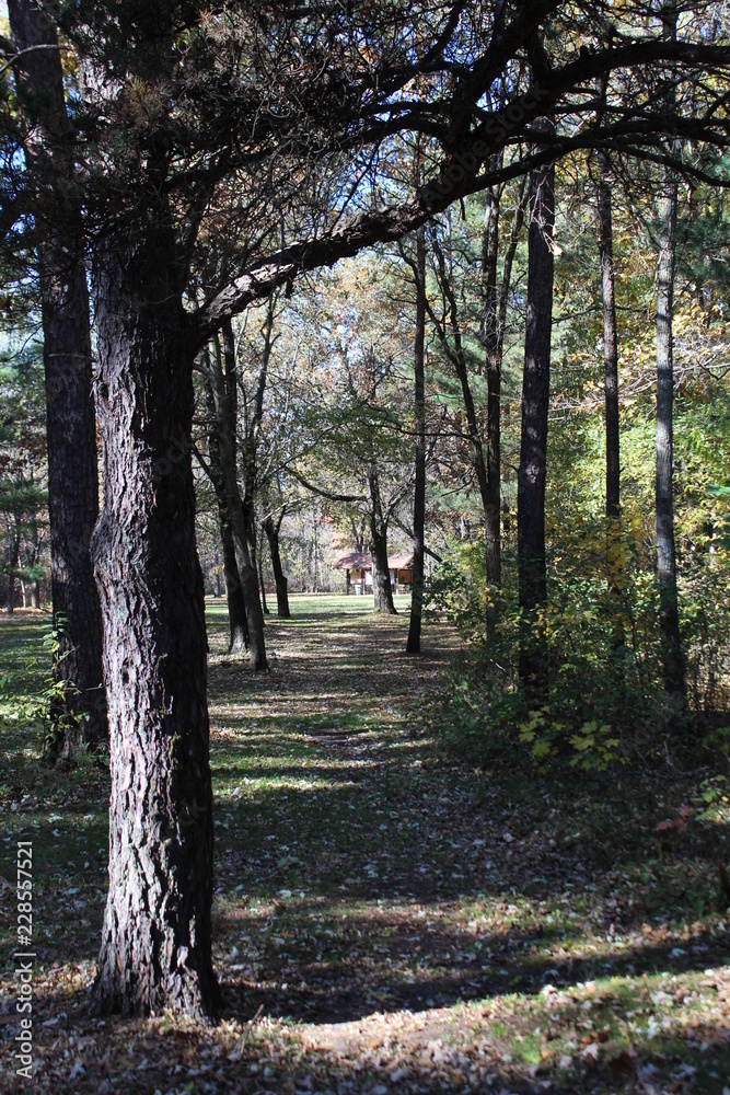 Fototapeta premium long parkway