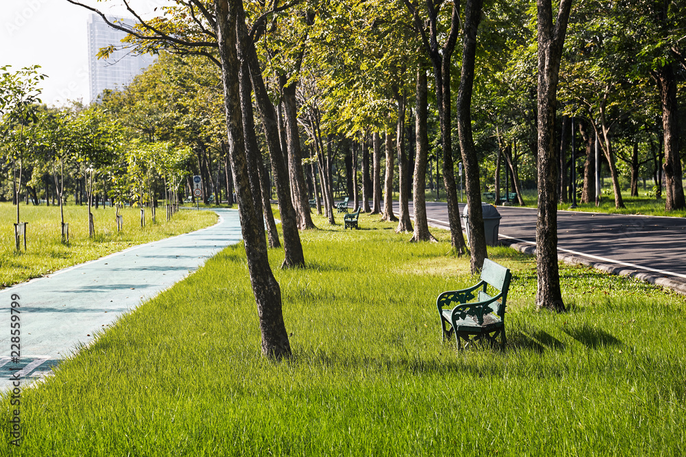 Old green bench on the grass field in the park with bike lane. Leisure, Lifestyle concept.