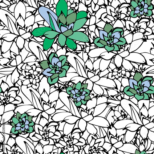 Floral seamless contour vector pattern with Echeveria . Fabric print design. Succulent decorated textile surface. Hand drawn vector illustration. Partially colored.