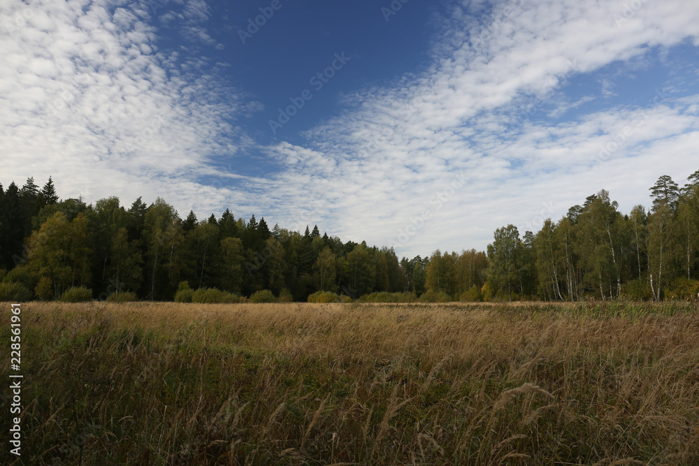 Moscow region. National park.