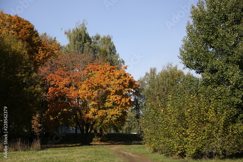 Autumn. Beauty of nature