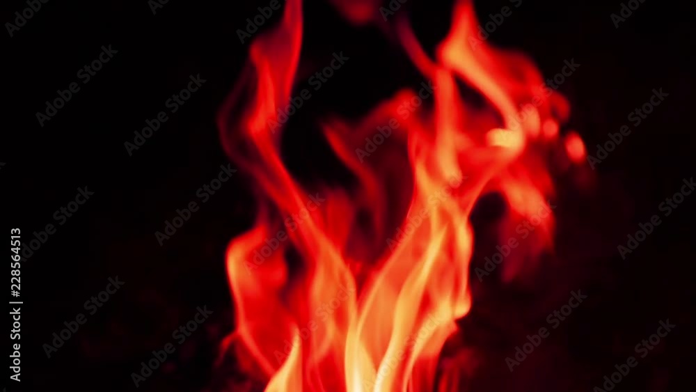 Abstract red fire on black background.
Abstract red fire on black background.