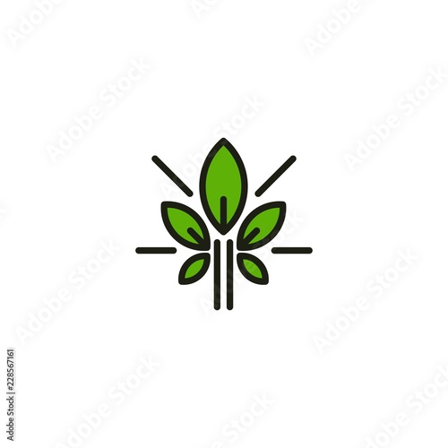 Plant Leaf Nature Ecology Simple Icon Logo Design Template Element Vector