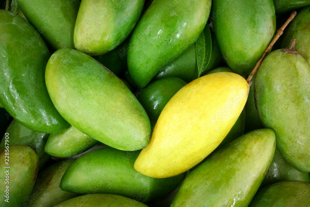 Ripe green and yellow Mango sale in fruits market