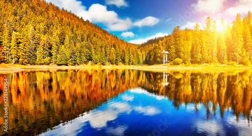 Autumn forest lake reflection landscape. Forest lake trees in autumn season panorama