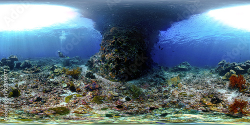 Underwater At Melissa's Garden Pillar, Raja Ampat, West Papua, Indonesia