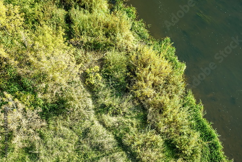 top view of a lake or river bank covered with grass and bushes, footpaths and paths, drone