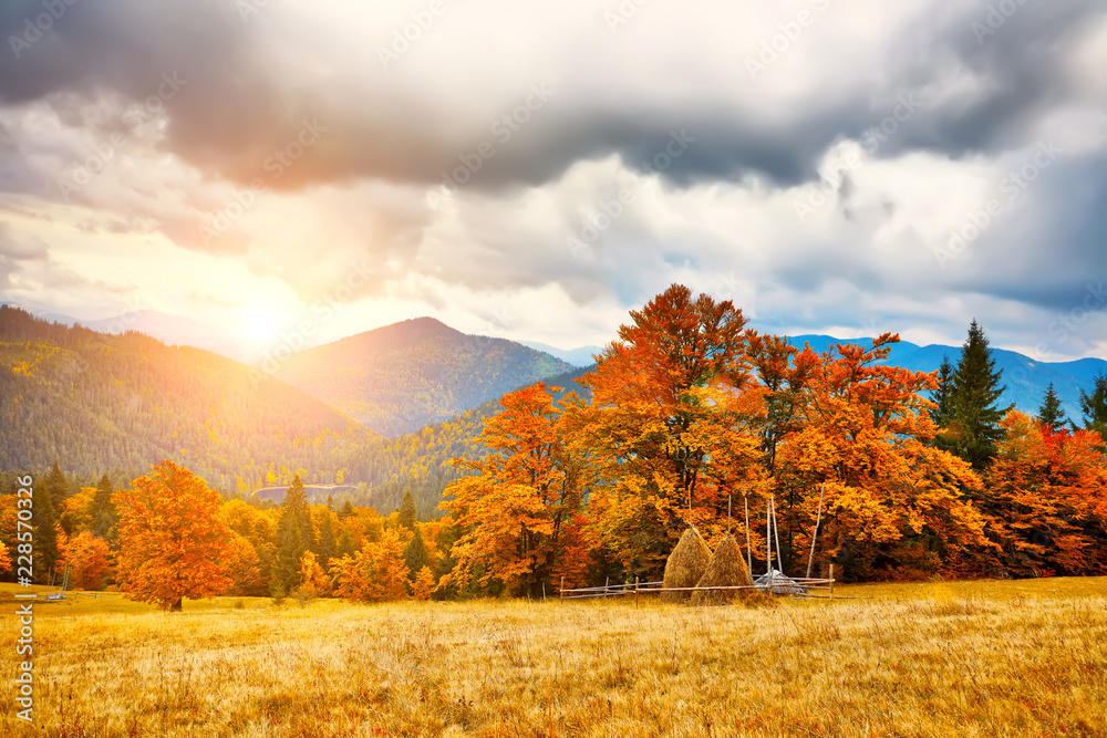 Fototapeta premium Mountain autumn landscape with colorful forestDramatic and picturesque scene. Popular tourist attraction. Europe. Artistic picture. Beauty world