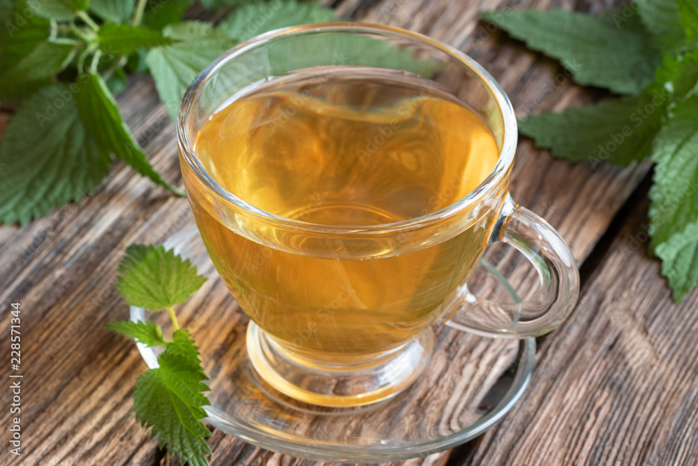 A cup of nettle tea with fresh stinging nettles A cup of nettle tea with fresh stinging nettles