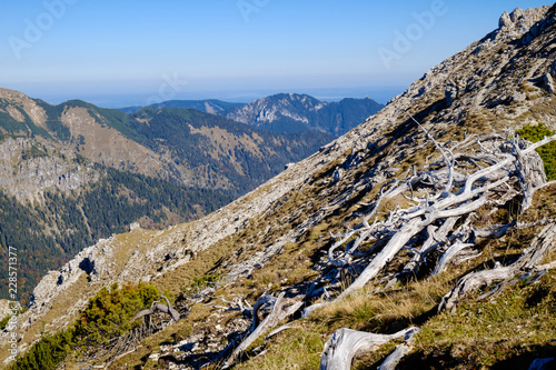 Obraz na płótnie Ammergauer Alpen