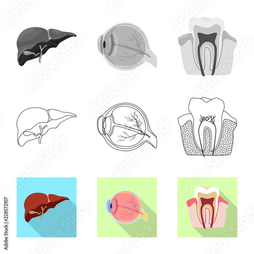 Vector illustration of body and human sign. Collection of body and medical stock symbol for web.