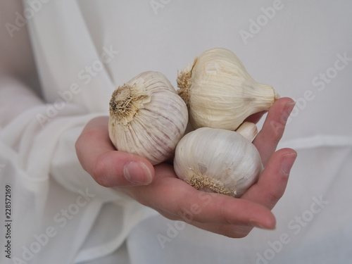 Hand holding three white garlic