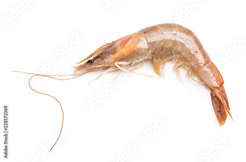 Fresh shrimp isolated on white background. Clipping path