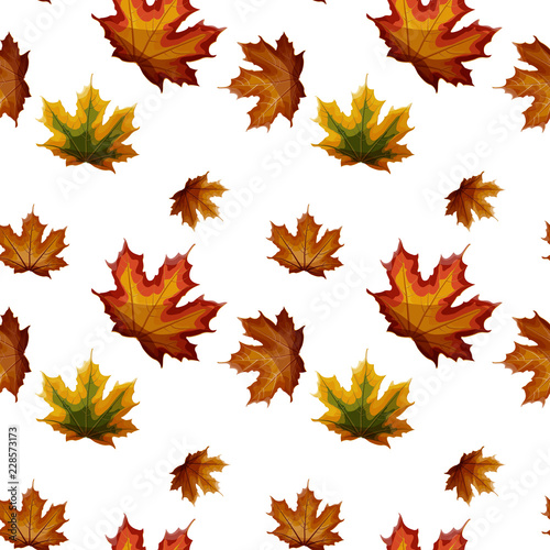 Isolated autumn maple leaves in green  yellow  orange  red  brown colors seamless pattern on white background.
