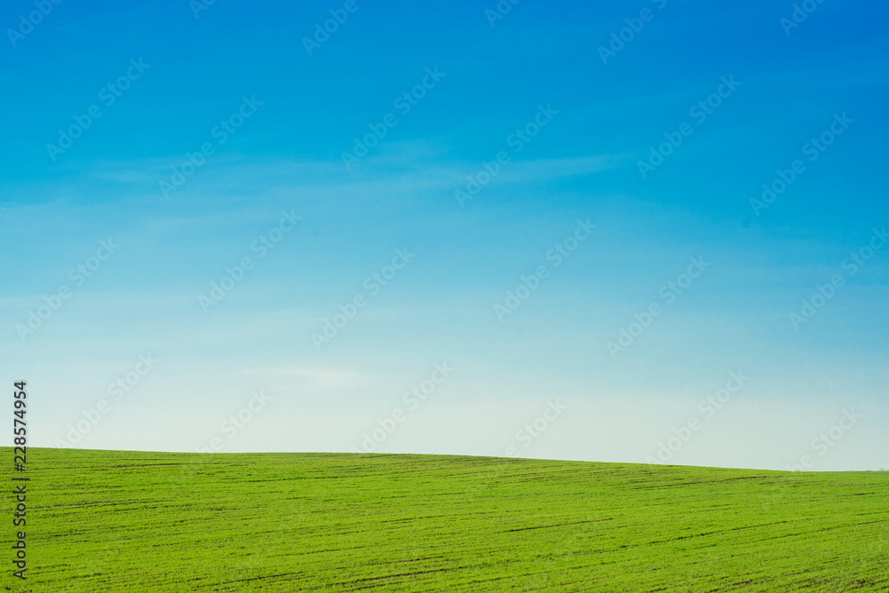 landscape blue sky and green field landscape blue sky and green field