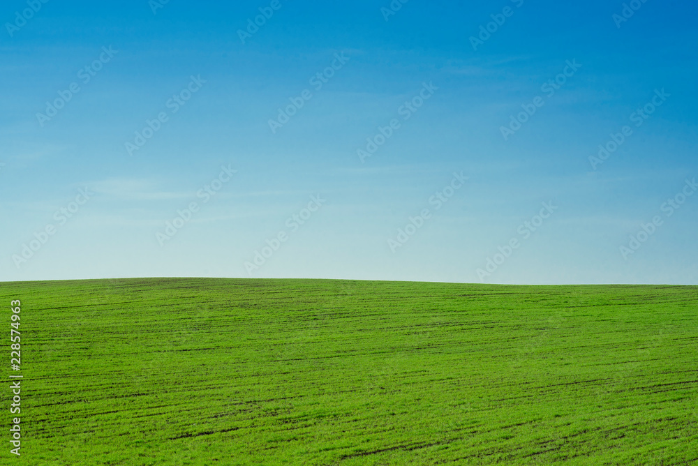 landscape blue sky and green field