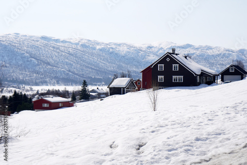 Fields covered with snow in spring