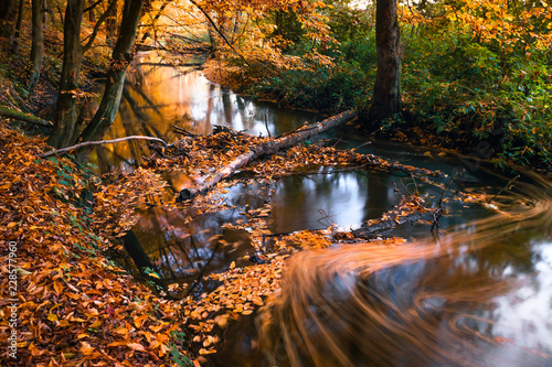 Jesień nad rzeką photo