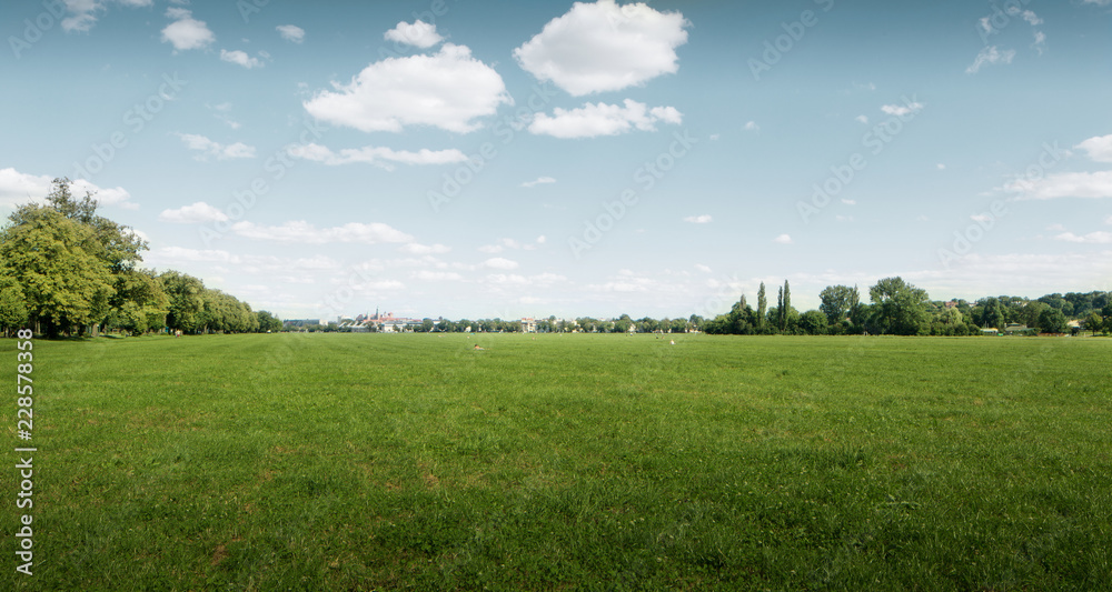 Fototapeta premium Krakowskie Błonia