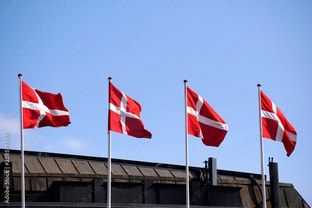 Naklejka premium Denmark flag on a mat in the wind and blue sky