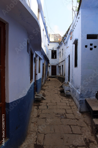 Translation: The narrow and colorful alley (plus cows) of Varanasi © leodaphne