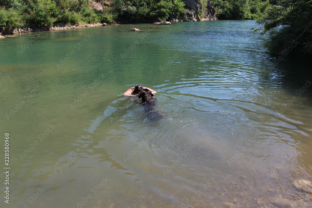 chien bringer dans la nature chien bringer dans la nature