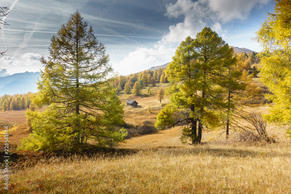 Fototapeta premium Herbstlandschaft in Tirol Österreich