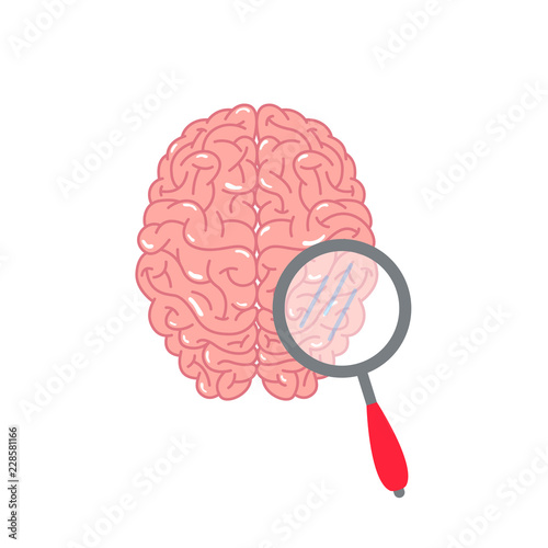 Brain test vector concept